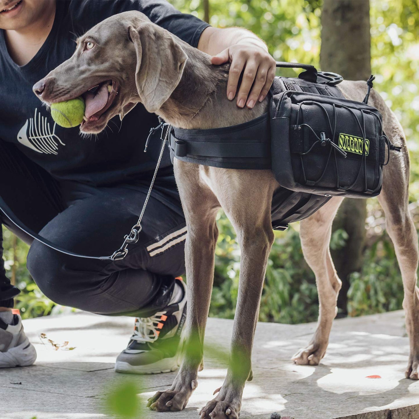 OneTigris Dog Harness with Sidepockets for Hiking Walking Training Running. Medium and Large Dogs, Multiple Colors