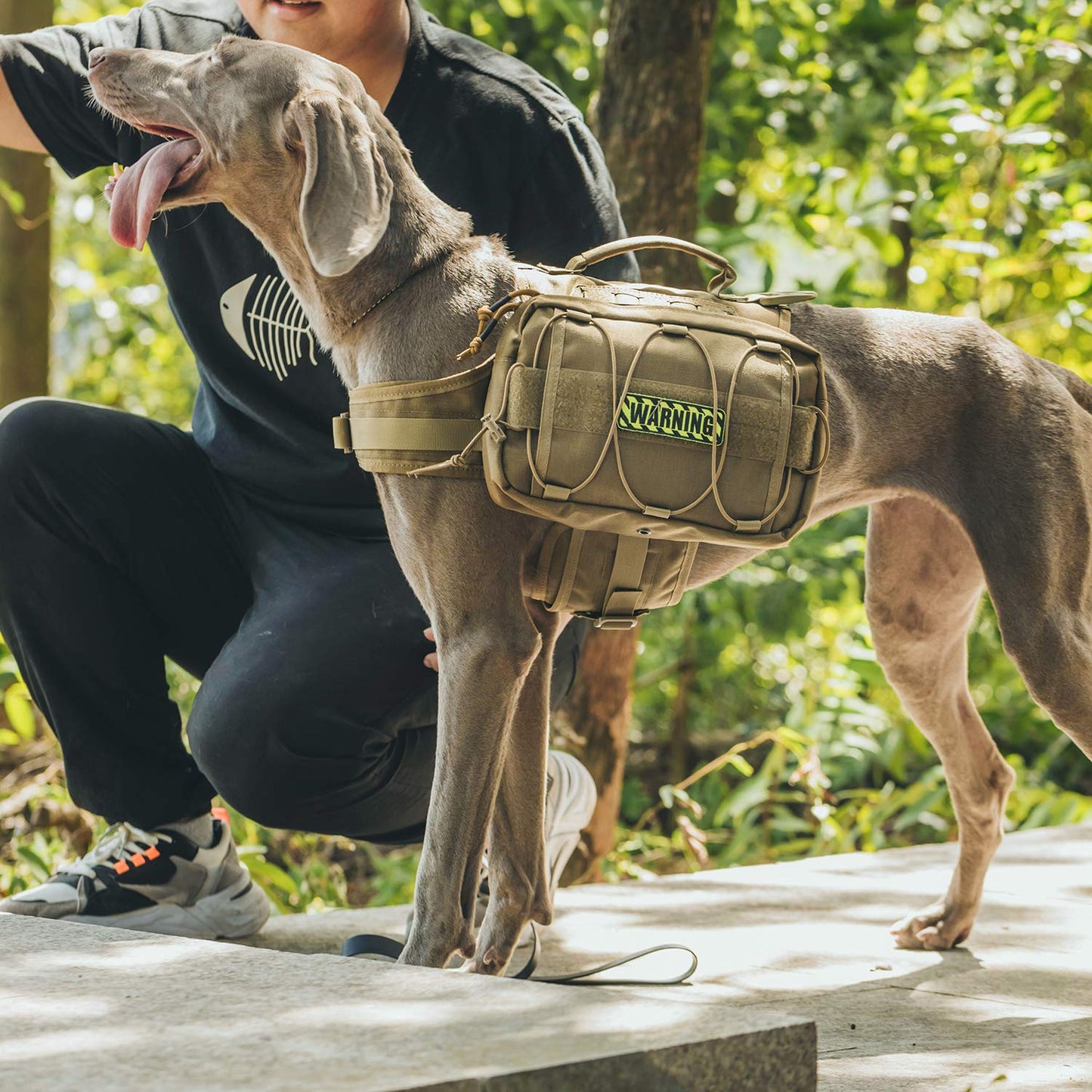 OneTigris Dog Harness with Sidepockets for Hiking Walking Training Running. Medium and Large Dogs, Multiple Colors
