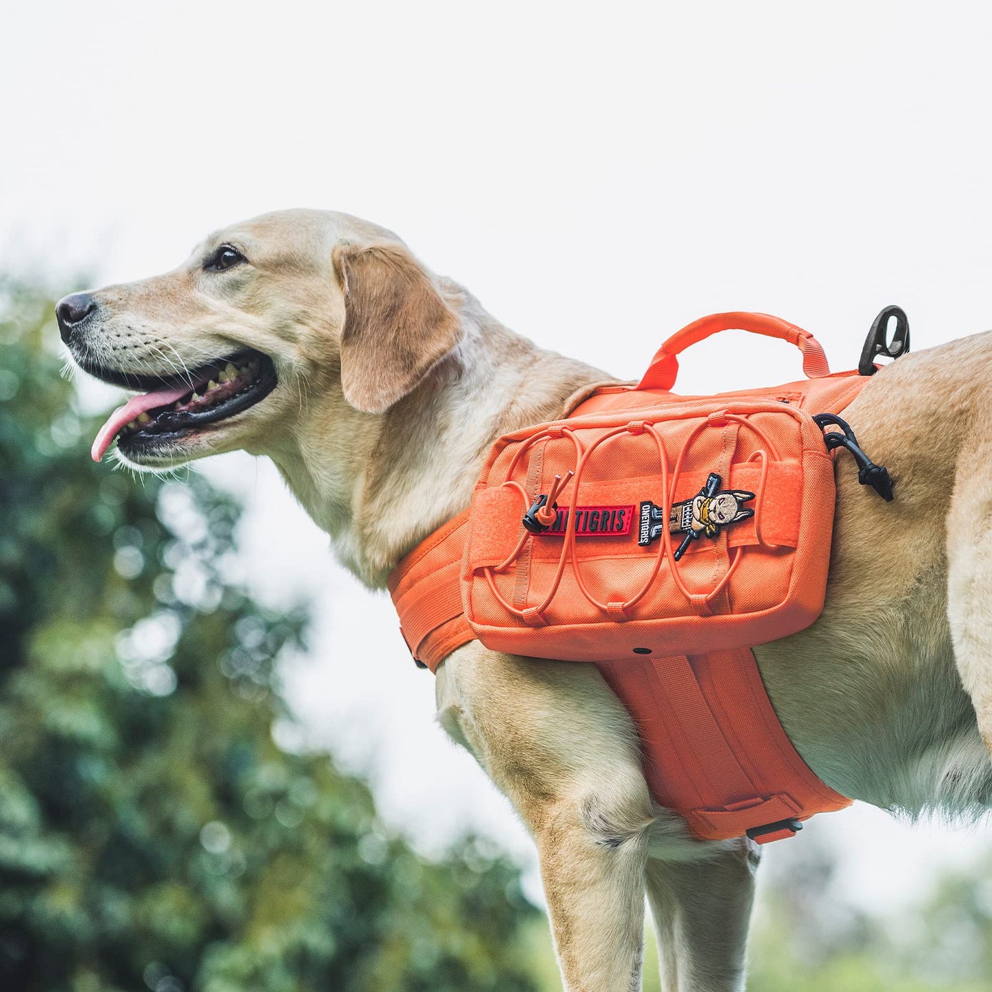 OneTigris Dog Harness with Sidepockets for Hiking Walking Training Running. Medium and Large Dogs, Multiple Colors