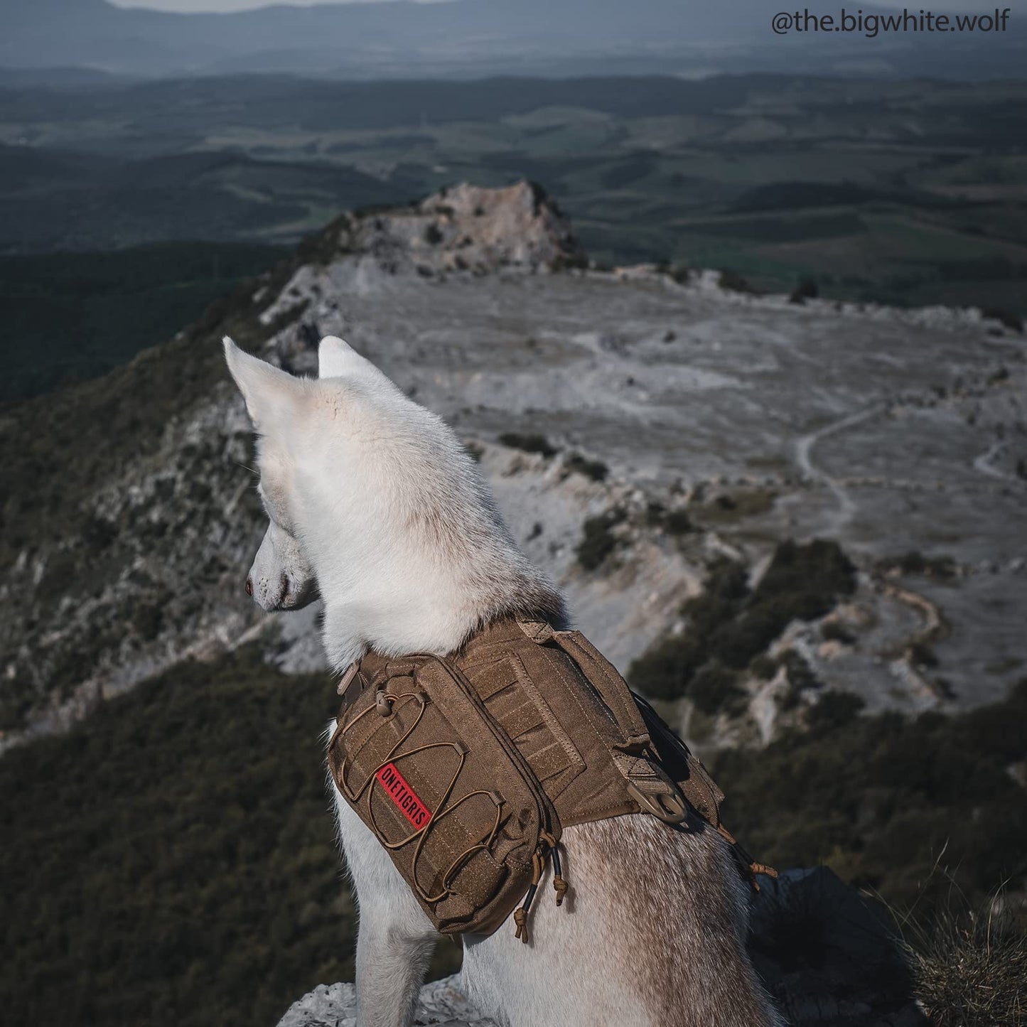 OneTigris Dog Harness with Sidepockets for Hiking Walking Training Running. Medium and Large Dogs, Multiple Colors