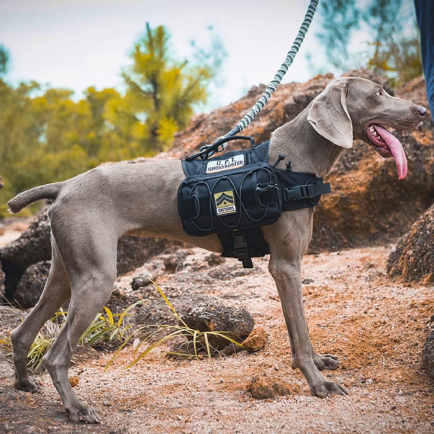 OneTigris Dog Harness with Sidepockets for Hiking Walking Training Running. Medium and Large Dogs, Multiple Colors