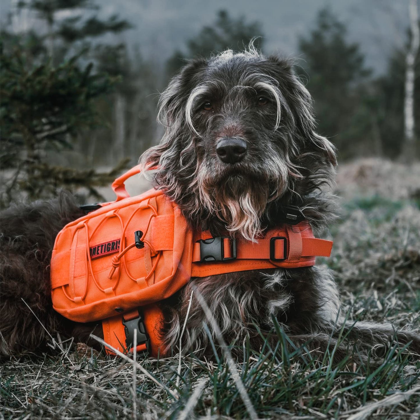 OneTigris Dog Harness with Sidepockets for Hiking Walking Training Running. Medium and Large Dogs, Multiple Colors